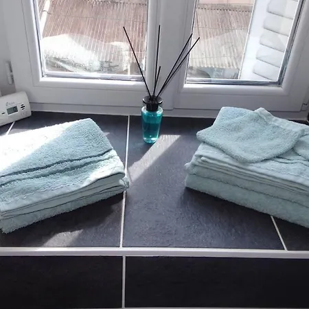 Tres Bel Avec Sauna + Baignoire Balneo * Dijon